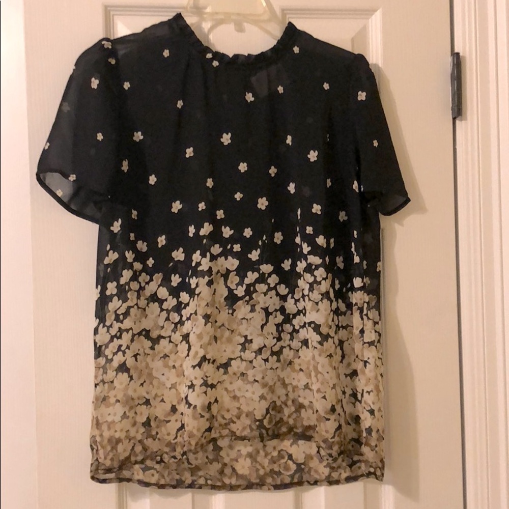 Sheer Blouse